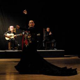 Ma. Antonia “La Morris” es en la actualidad sinónimo de excelencia en sus tres quehaceres dentro de la Danza: intérprete, maestra y coreógrafa.