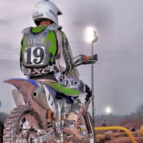 plynch19's profile picture. 