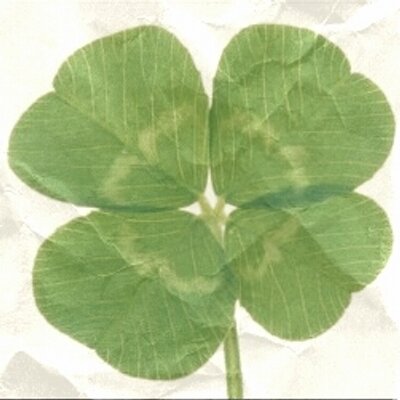 おまじない 可愛くなるおまじない 朝起きたら 鏡の前で自分で一番可愛いと思う笑顔をつくり そのまま鏡に向かって ありがとう と言う
