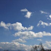 ★☆★ ラン ★☆★ (@tsuyoponroom) 's Twitter Profile Photo