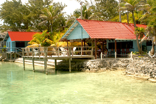 The Reef House Resort dives the East End where few others dive. Come and join us for some of the most pristine reef on the island.