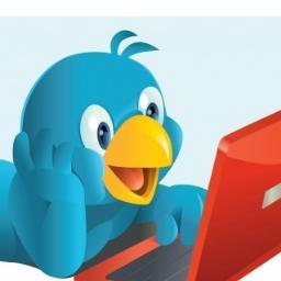Working in Adobe Flex, AIR, Actionscript programming, and GUI design. Expertise in Flex + PHP.