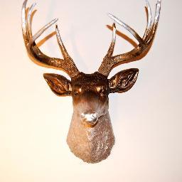 shopcozilee's profile picture. Cozilee curates the most remarkable statement pieces for your happy home. http://t.co/3eJivaeL4J