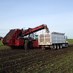 Chad Thorson (@thorsonfarming) Twitter profile photo Chad Thorson (@thorsonfarming) Twitter profile photo