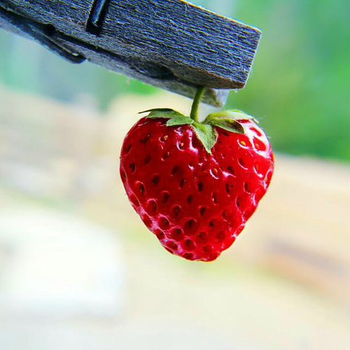 yousef_Alderbas's profile picture. 