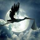 James Turk - @JamesTurk6 - Twitter