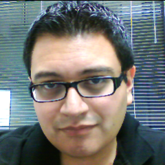 Software Architect & Developer with over 12 years of IT experience.