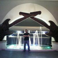Alexis Fransua (@alexis7882) 's Twitter Profile
