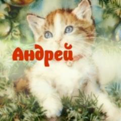 golczov1982's profile picture. 