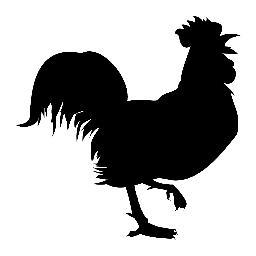 PremekK's profile picture. Walk!