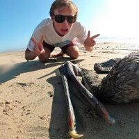 Riley Keating (@sdlemonhead) 's Twitter Profile