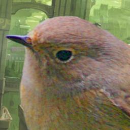 猫の額ほどの庭に訪れる花や虫、鳥たちの写真をハッシュタグ「#猫の額ほどの賑わい」でポストしています。写真はALT(代替)に追記あり。
※渡り鳥ジョウビタキ(11月～3月)目当てにピラカンサを、渡り蝶アサギマダラ(10月,5月)目当てにフジバカマと水前寺菜を庭と畑で栽培中。