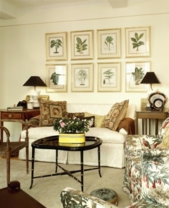 Interior Decorator