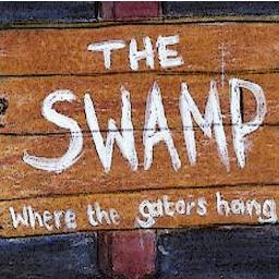 The Swamp Profile