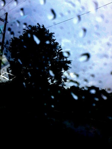 iamERIN0211's profile picture. 