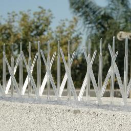 Bird Spikes is one of the most effective and robust systems available. Specifically designed for areas of heavy infestation.