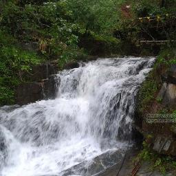 A cozy cottage with xtra spacious rooms beside a natural waterfall at mist laden Lakkidi of Vythiri in Wayanad, Kerala.
Homestay / Wildwater Resort in Vythiri