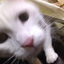 石井創平 (@0519Doragon) Twitter