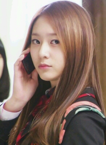RPWITHNOAGENCY. HyukToria's Daughter. Someone ♥ Adeknya Taeng,Hara,L,Wooyoung,Dewe,Geka,Bacon,Yeol Keponakan Junsu, Kyu