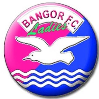 BangorLadiesFC's profile picture. N.I Ladies Football - NIWFA