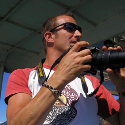 gavinmc1's profile picture. #Sport, #photography and #gadget mad. Love my wife, and daughters. Do #TV #tech for a living as well as #big #data. https://t.co/NhBZ3IhFJR