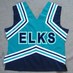 Ulster Elks  (@ulsterelkscheer) Twitter profile photo
