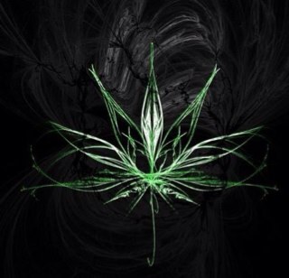 1nd10ca5tiil0's profile picture. I DONT GIVE A FUCK