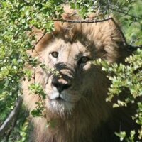Tyler Brawner (@tylerbrawner) Twitter profile photo