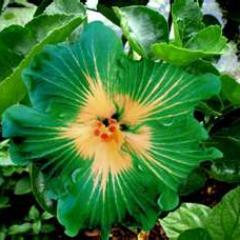 Wyattrchoa's profile picture. You were born with the ability to change someone's life