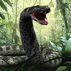 RobinBigSnake's profile picture. I am not really Robin Big Snake. That's just what I call myself sometimes. You would do it, if you'd thought of it.