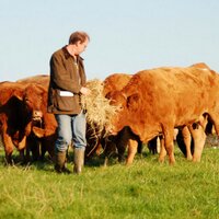 Yaron Peled (@trenderwayfarm) 's Twitter Profile