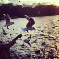 MO7ameyaa (@mo7ameyaa) 's Twitter Profile