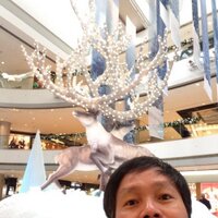 Nino Ng (@ng_nino) 's Twitter Profile
