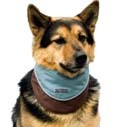 http://t.co/OuoH4xKTnd sells all the dog gear you need to make walking, hiking & traveling with your canine friends easy & convenient.