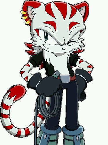 [RP account SonicTwitter] My name is Tygra Remus. A hero perhaps? No, I call myself a person who likes to help others in need, founder and leader of team Galaxy