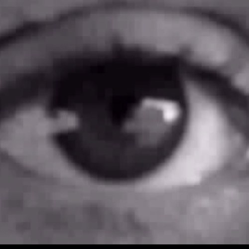 santillolo's profile picture. 