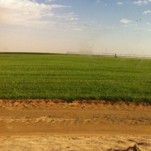 Snsn555595Hotma's profile picture. ١١