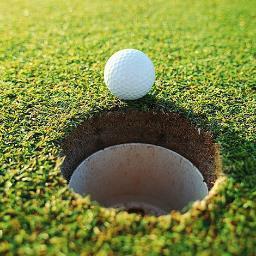 barbadosgolf's profile picture. 