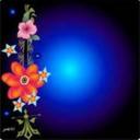 Terrell Mcgee - @TerrellMcgee11 - Twitter