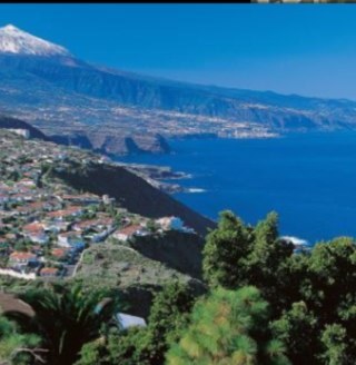 #Tenerife 2013. Follow if you have been or are going to the reef in 2013! Information, pictures and much more. Retweet and party hard Tenerifeeeeee 2013!!!! ☀