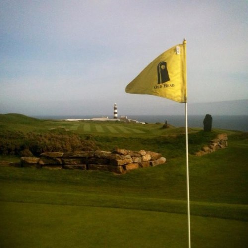 priveira70's profile picture. 