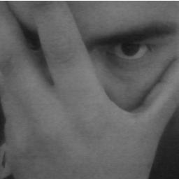 Necrodozer's profile picture. 