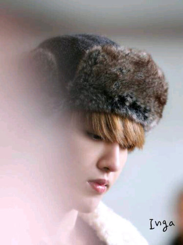 @kimsjongin kesayangan. @HORP_Jiyoung itu dia nyuri nyuri hati orang seenaknya. Sebel deh