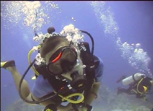 flower2382's profile picture. 