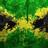 Darksardas's profile image
