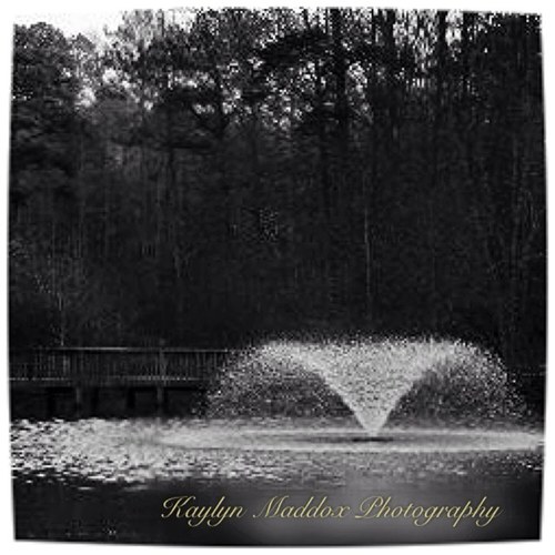 KMaddoxPhoto's profile picture. Specialize in nature and black and white photography. Available for portrait sessions, by appointment, in the North and Middle Georgia areas.