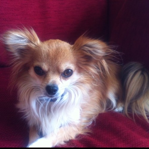 beverleyburdis's profile picture. 