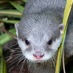 Lakes Aquarium (@lakesaquarium) Twitter profile photo