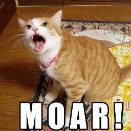 ZePollaBot's profile picture. Ma io che cazzo ne so scusi