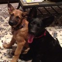 Scott Werner - @MayorWerner - Twitter